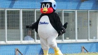 つば九郎が水没した戸田球場の現状を報告「げーじが、あっちこっちに。。。」