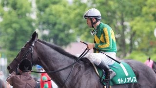 サトノアレス号が競走馬登録抹消