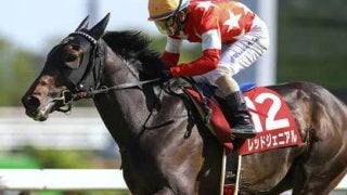 秋華賞に続いて菊花賞も荒れる。穴党記者が白羽の矢を立てた穴馬２頭