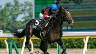 菊花賞は春の実績馬が手薄。夏の上がり馬２頭に一発チャンスが膨らむ