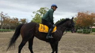 【富士S】レイエンダ スミヨンで巻き返し狙う！