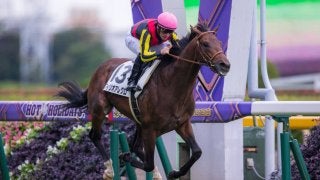 【新馬/東京5R】良血フィリオアレグロがデビューV！ 半兄にサトノクラウン