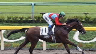 【新馬/東京4R】ゴールドアリュール産駒 ウーゴが抜け出してデビューV！