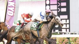 【富士S】ノームコアが圧巻の差し切り！