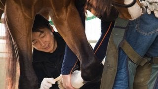 東京競馬場でカリスマ装蹄師・西内荘氏がトークショーに出演‬