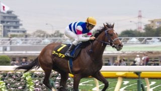 【アイビーS】圧倒的人気 ワーケアがデビュー2連勝！