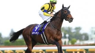 ２億円の高額馬サトノフウジンは「兄と違いスピードの絶対値が高い」