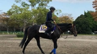 【菊花賞】ヒシゲッコウ 欧州を代表する名手がスミヨン騎乗