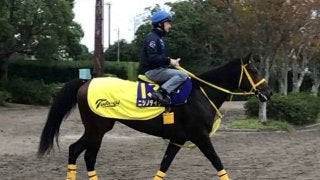 【菊花賞】ニシノデイジー ルメールの手綱で復活なるか