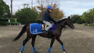 【菊花賞】ホウオウサーベル ベテラン蛯名とのコンビで一発を狙う！