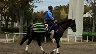 【菊花賞】ザダル 石橋「立ち回りが上手い」