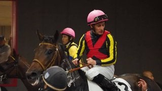 土曜東京５Ｒ新馬はサトノクラウンの半弟フィリオアレグロが制す