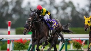 【菊花賞】 武豊 ワールドプレミアが最後の1冠を制する！