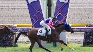 【新馬/東京4R】フィオリキアリがデビュー勝ち！スパングルドスターは大敗