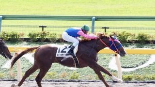 【新馬/東京3R】メイショウテンスイが人気に応えてデビューV！