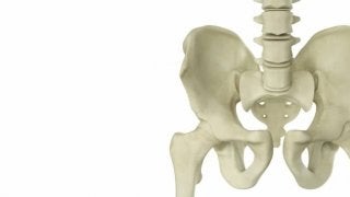 骨盤底トレーニングって、なに～！？