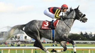 ＧＩ馬からでも高配当が狙える天皇賞・秋。穴党記者の狙いはこの４頭