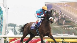 【天皇賞・秋】枠順と見どころ アーモンドアイは1枠2番