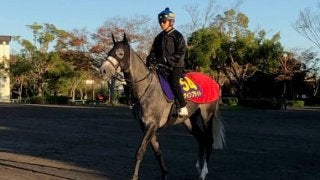 【天皇賞・秋】ウインブライト 前走大敗も復活なるか