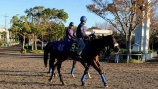 【天皇賞・秋】アーモンドアイ ルメール「アーモンドアイが1番強い」