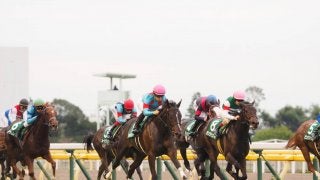 【アルテミスS】圧倒的人気リアアメリアがV！売り上げ前年比減