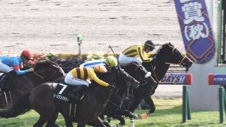 【東京8R】天皇賞と同距離はアトミックフォースが勝利