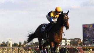 【天皇賞・秋】福永「本音を言えばもう一列前で…」ダービー馬ワグネリアンは追い込み届かず5着