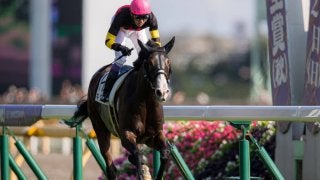 【東京7R】武豊キタイが逃げ切り！9番人気の低評価を覆す