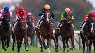 【新馬/東京5R】武豊「スタートが全然出なかった」キタサンブラック全弟は3着