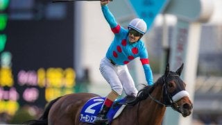 【天皇賞・秋】G1馬10頭の競演！アーモンドアイ勝利で前年比大幅アップ