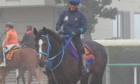【アルゼンチン共和国杯】オジュウチョウサン 和田郎師「松岡騎手が思い切った競馬をしてくれれば」