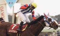 【アルゼンチン共和国杯】横山典「乗っていても楽でした」ムイトオブリガードが重賞初制覇！
