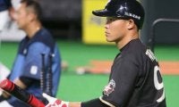 【プレミア12】侍J、第3戦は台湾との“全勝対決”　日ハム王柏融らNPB勢3人に米マイナー有望株も揃う