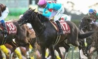 マイルCSで狙える穴馬は「上がり馬」「３歳馬」「リピーター」の３頭