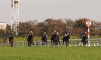 【東スポ杯2歳S】ビュイック「適性の差」レース後ジョッキーコメント