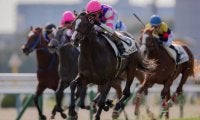 【新馬/京都6R】キンシャサノキセキ産駒 シャイニーズランがデビュー勝ち！