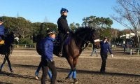 【ジャパンC】カレンブーケドール 国枝師「斤量は恵まれてる」