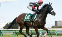 ジャパンＣは世界の名手が集うも、狙いは主戦の日本人騎手鞍上の２頭
