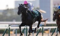 【京都2歳S】武豊マイラプソディが断然の人気に応えて無傷の3連勝！