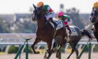【新馬/京都5R】母シーザリオの良血馬 ファーストフォリオがデビュー勝ち！