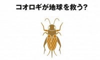 無印良品から“昆虫食”登場。「コオロギせんべい」を2020年春発売へ