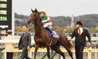 【ジャパンC】ビュイック「良馬場で改めて…」レイデオロは11着大敗