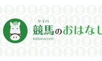 【犬山特別】アメリカ帰りのマスターフェンサーが国内復帰戦を制する！