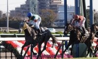 【葉牡丹賞】グランデマーレがデビュー2連勝！