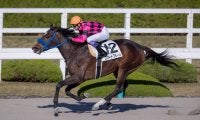 【阪神8R】武豊スマートフルーレが3勝目を飾る！