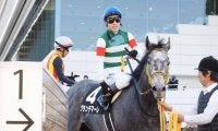 【葉牡丹賞】藤岡佑「理想的な競馬」グランデマーレがデビューから2連勝！
