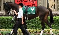 阪神ＪＦは「スター候補」が本命。良血馬が強いレースで血統も万全だ