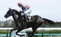 阪神JFはそろそろ荒れる。過去の激走３パターンから導いた穴馬３頭