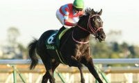 注目の２歳牡馬ランキング。ディープインパクトの後継がついに登場か