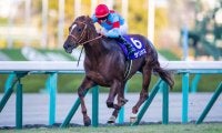 【朝日杯FS】サリオスが無傷の3連勝！圧倒的な強さで2歳王者に
